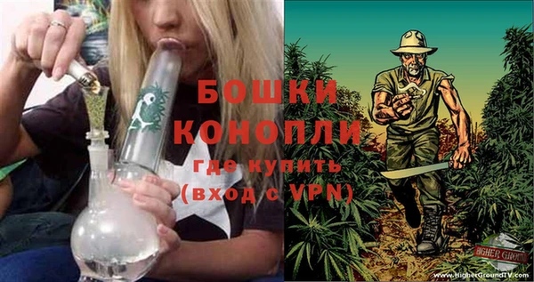 apvp Аркадак