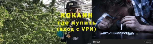apvp Аркадак