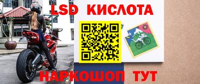 соль ск Новозыбков