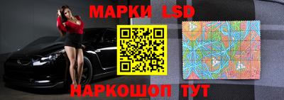 гидропоника Новокубанск