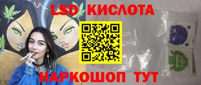 соль ск Новозыбков