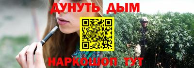 соль ск Новозыбков