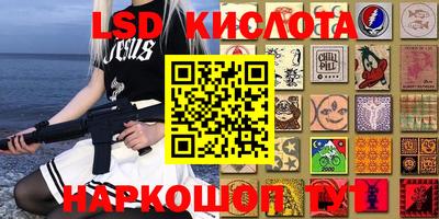 соль ск Новозыбков