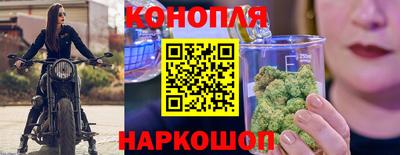 прущие грибы Новодвинск