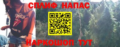 прущие грибы Новодвинск